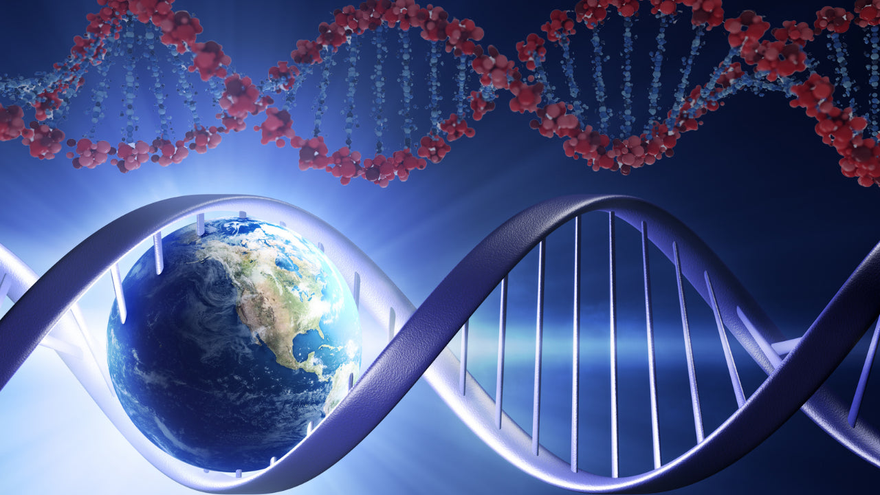 Biohacking 2025: How AI is Rewiring Health & Wellness in 2025