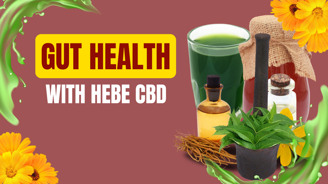 CBD-Gut Health Nexus: Digestive Wellness in 2025