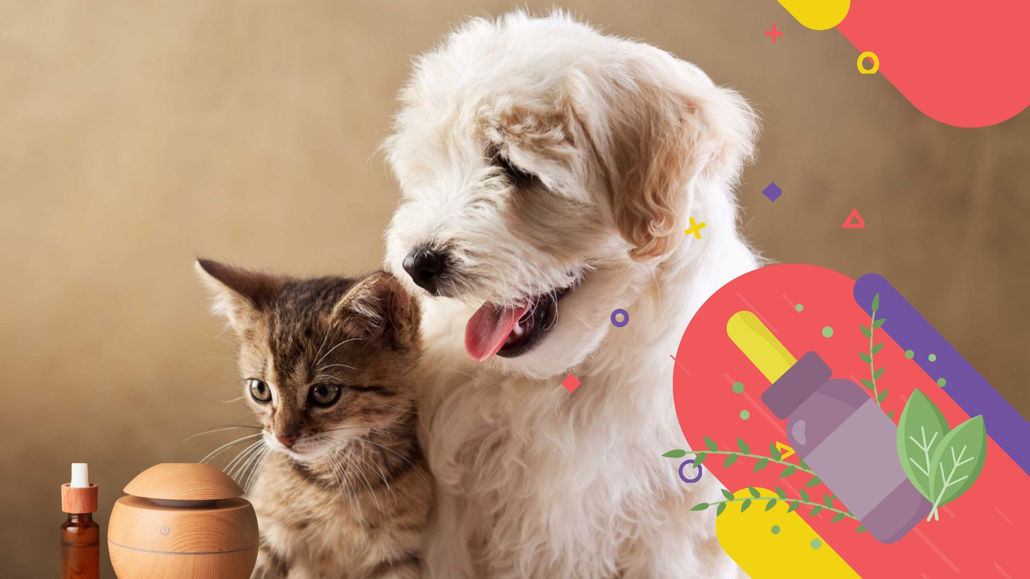 CBD for Dogs Arthritis: Dosage, Benefits and Treatment