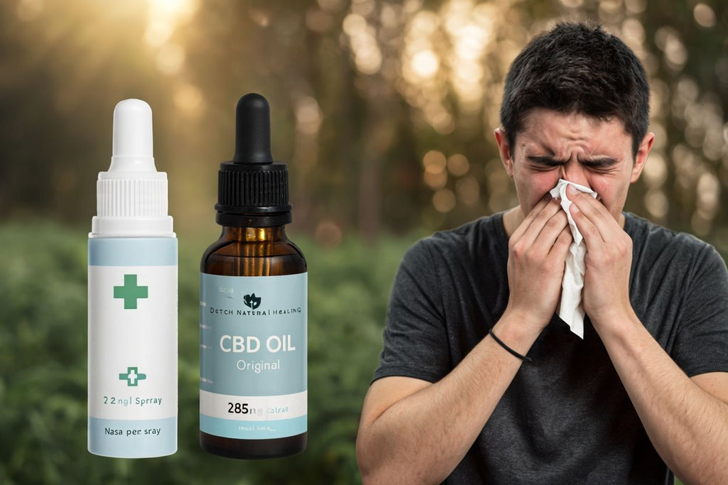 CBD & Allergies: The Hidden Connection Between Cannabinoids and Your Body’s Defense System