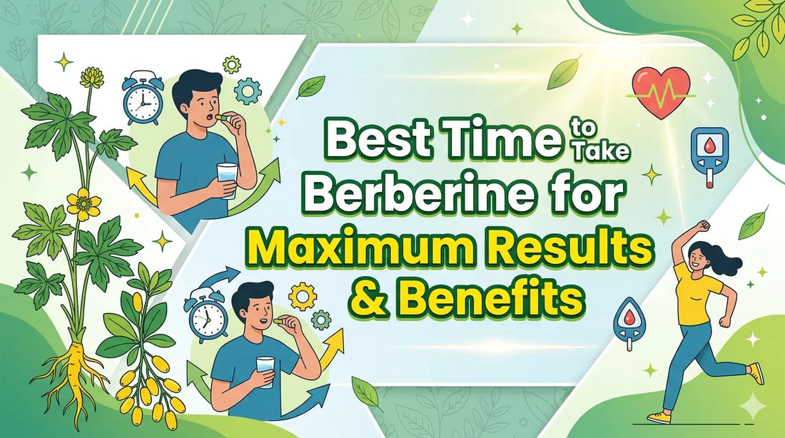 Best Time to Take Berberine for Maximum Results