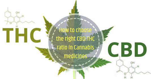 How CBD and THC Ratios Affect Your Experience and Health Benefits