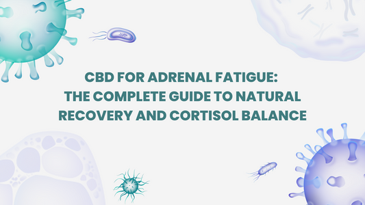 CBD for Adrenal Fatigue: The Complete Guide to Natural Recovery and Cortisol Balance (2025)