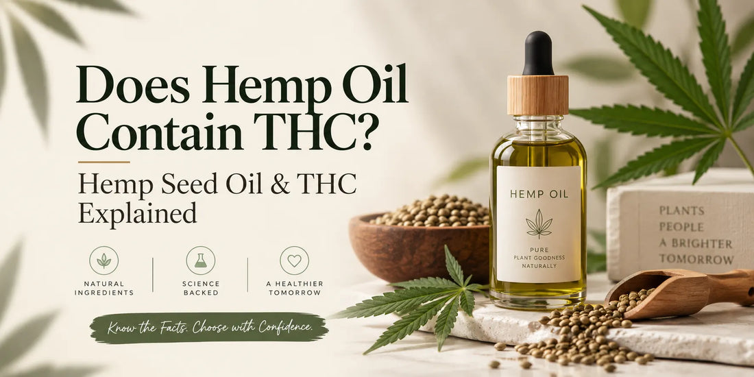 Does Hemp Oil Contain THC? Hemp Seed Oil, THC & What You Need to Know