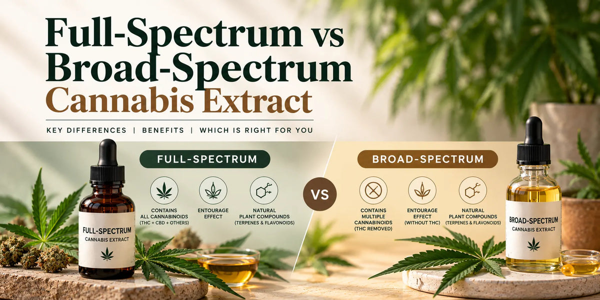 Full-Spectrum vs Broad-Spectrum Cannabis Extract: What's the Difference?