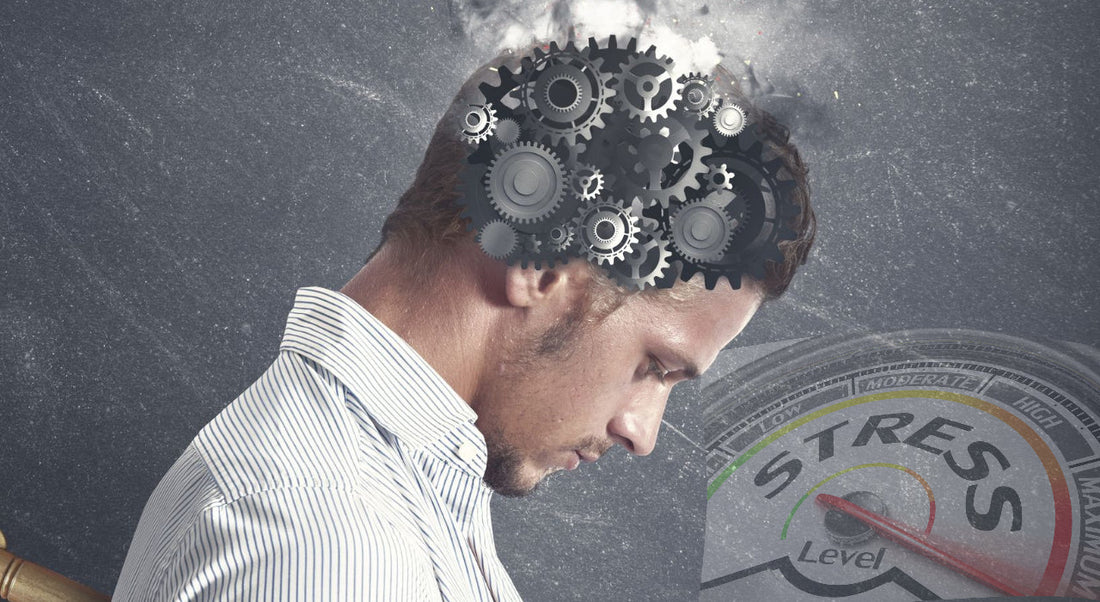 Workplace Stress and Depression Management 2025: Hebe Wellness