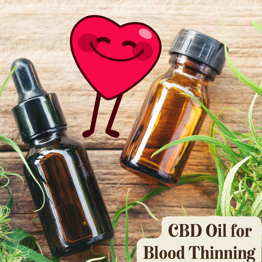 Does CBD Thin Blood? : Connection Between CBD and Blood Thinning