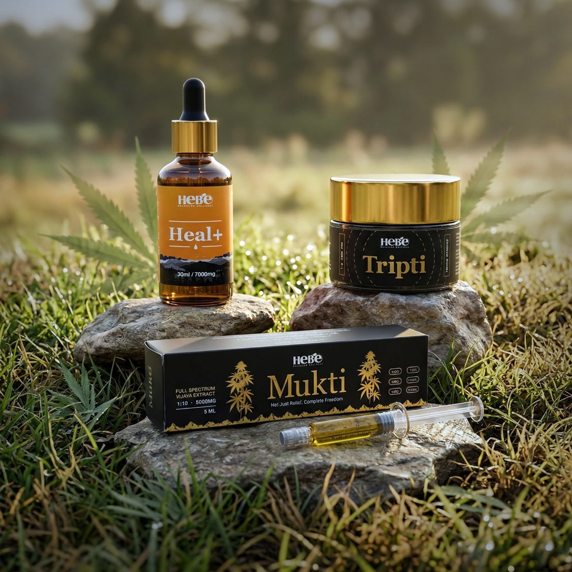 full spectrum CBD oil product