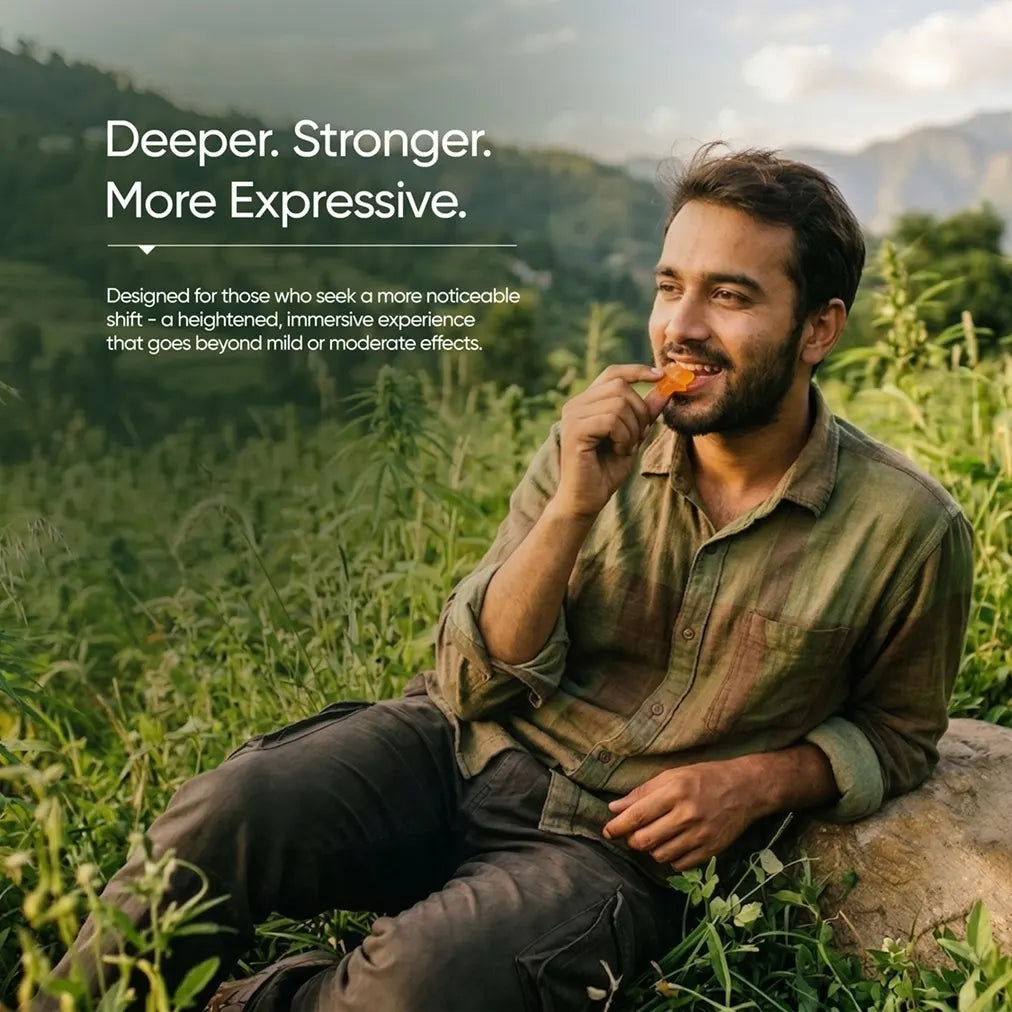 Hebe Orbit Pineapple Punch Full Spectrum Vijaya Gummies (400mg in each gummy)