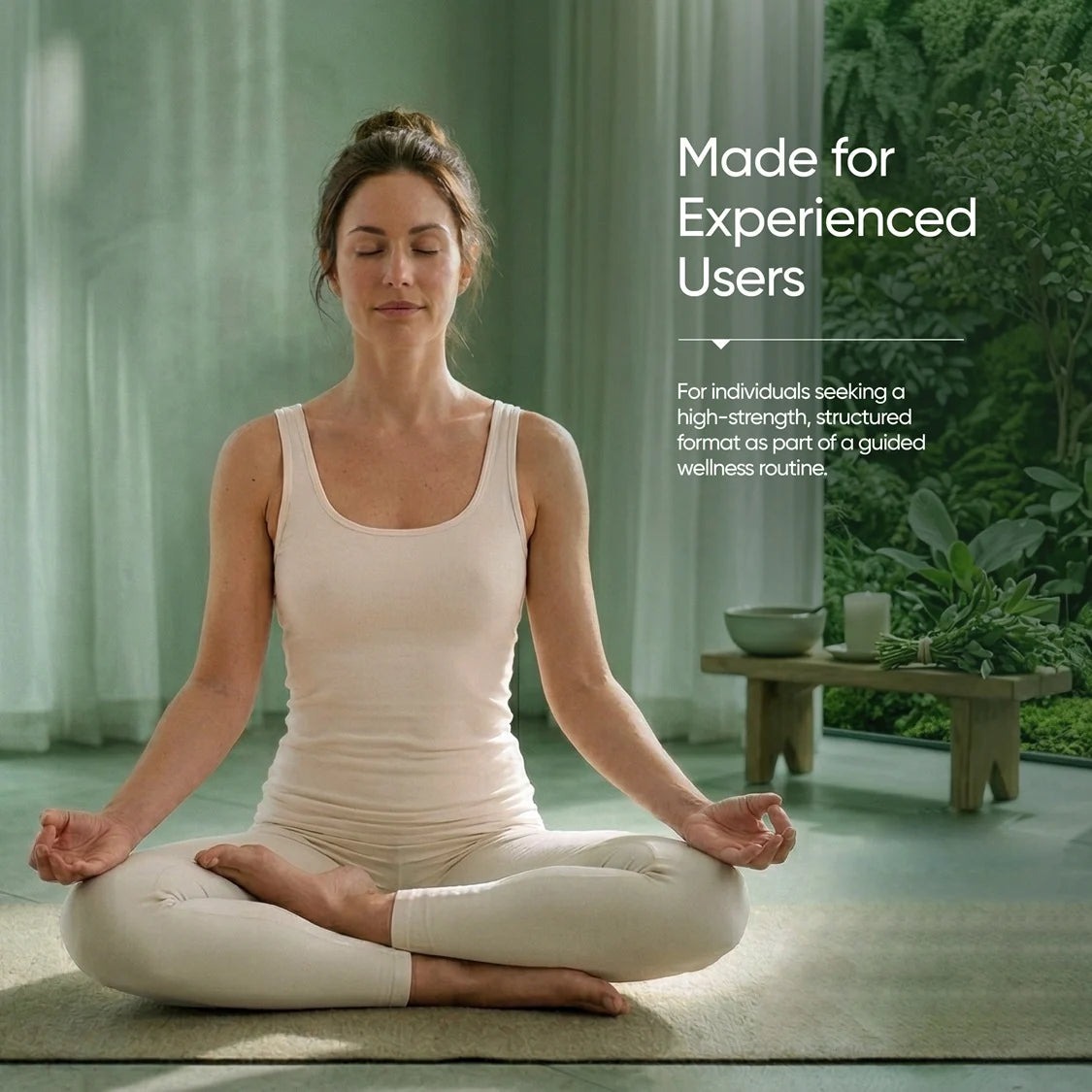 Hebe Orbit Pineapple Punch Full Spectrum Vijaya Gummies (400mg in each gummy)